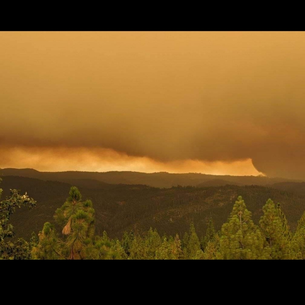 Kindness ONLY ZONE! No jerks ALLOWED! Kharma by Avelon - Picture 1 of 10